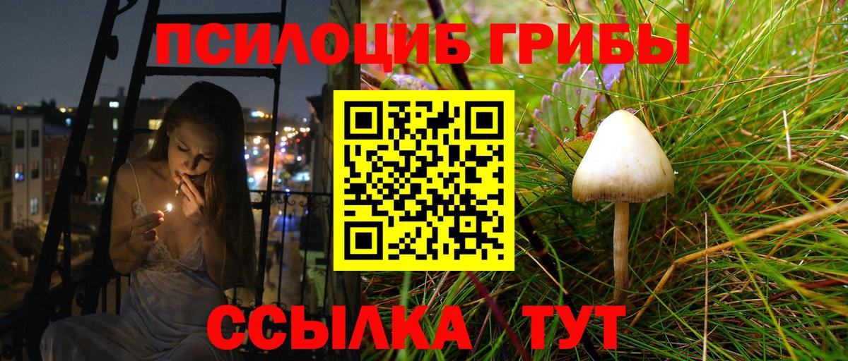 Галлюциногенные грибы Psilocybe  Вход с VPN  Галлюциногенные грибы мицелий  наркошоп  Новый Уренгой 