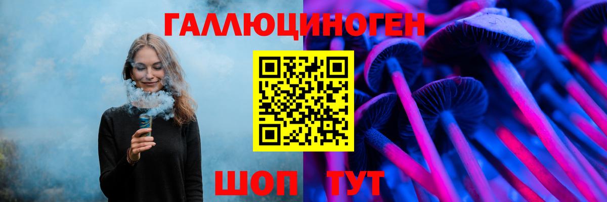 Псилоцибиновые грибы Psilocybe Новый Уренгой